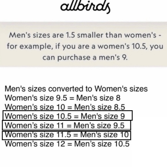 ALLBIRDS CLASSICS: Blizzard (Blizzard Sole) Tree Flyers - Picture 2 of 14